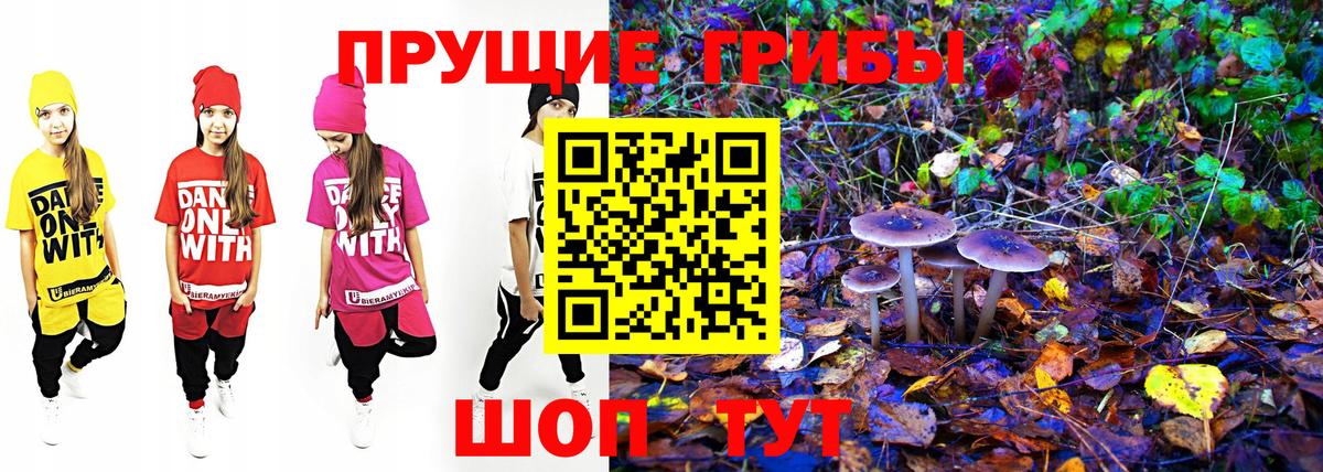 Кемерово  Псилоцибиновые грибы мицелий  наркотики  Псилоцибиновые грибы прущие грибы  Вход с VPN 